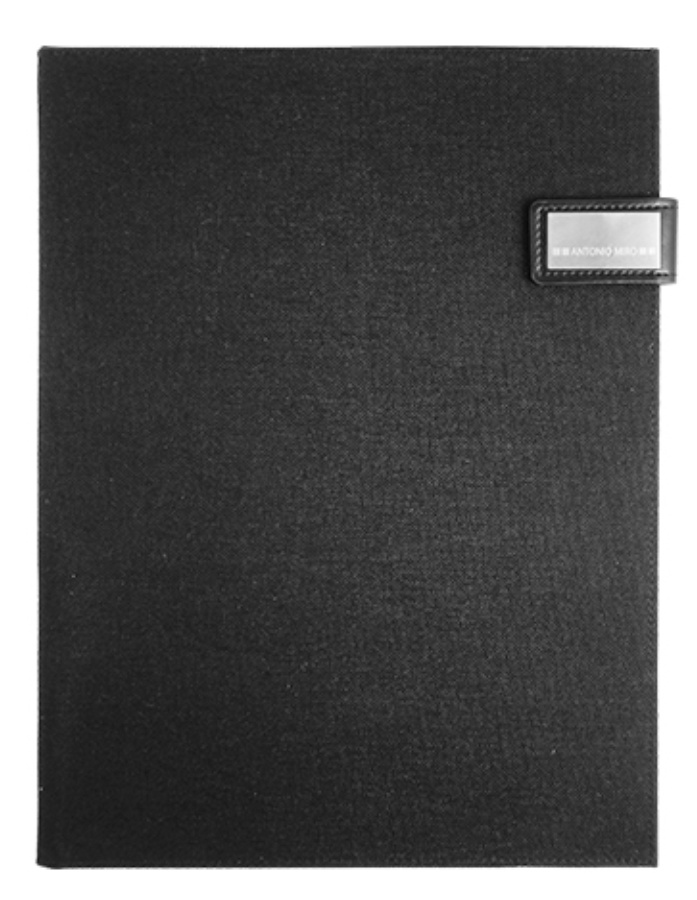 CARPETA EJECUTIVA E409